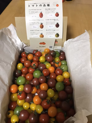 みんなの投稿の画像