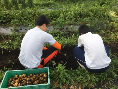 みんなの投稿の画像