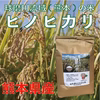【オーダー後に精米します】令和2年新米！球磨川流域の米(ヒノヒカリ）