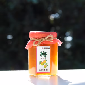 無添加　梅ジャム