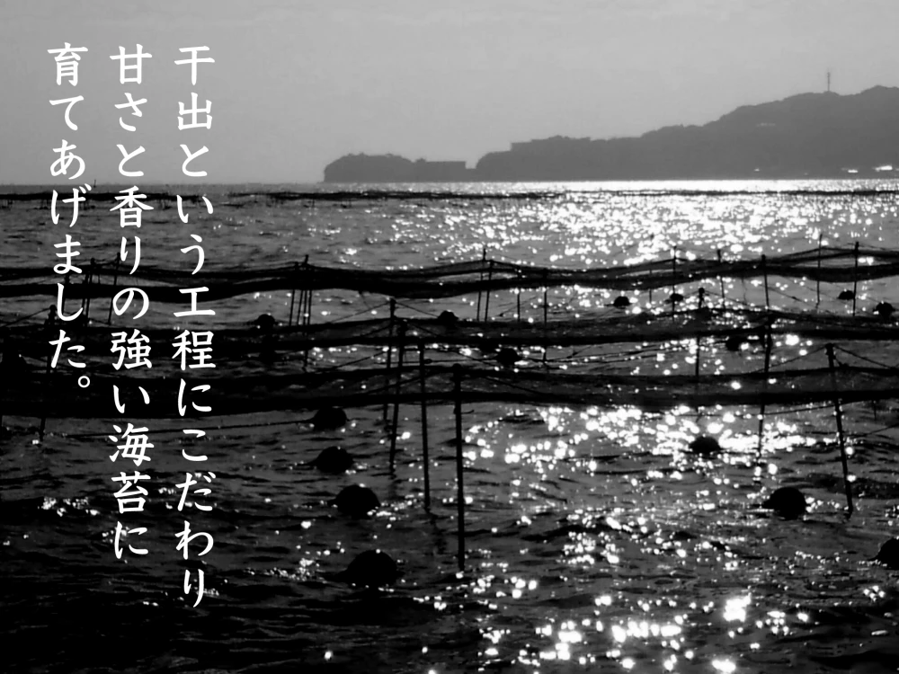 ツゥな、なま海苔】冷凍なま海苔【神奈川から発送】日時指定(可)｜魚介