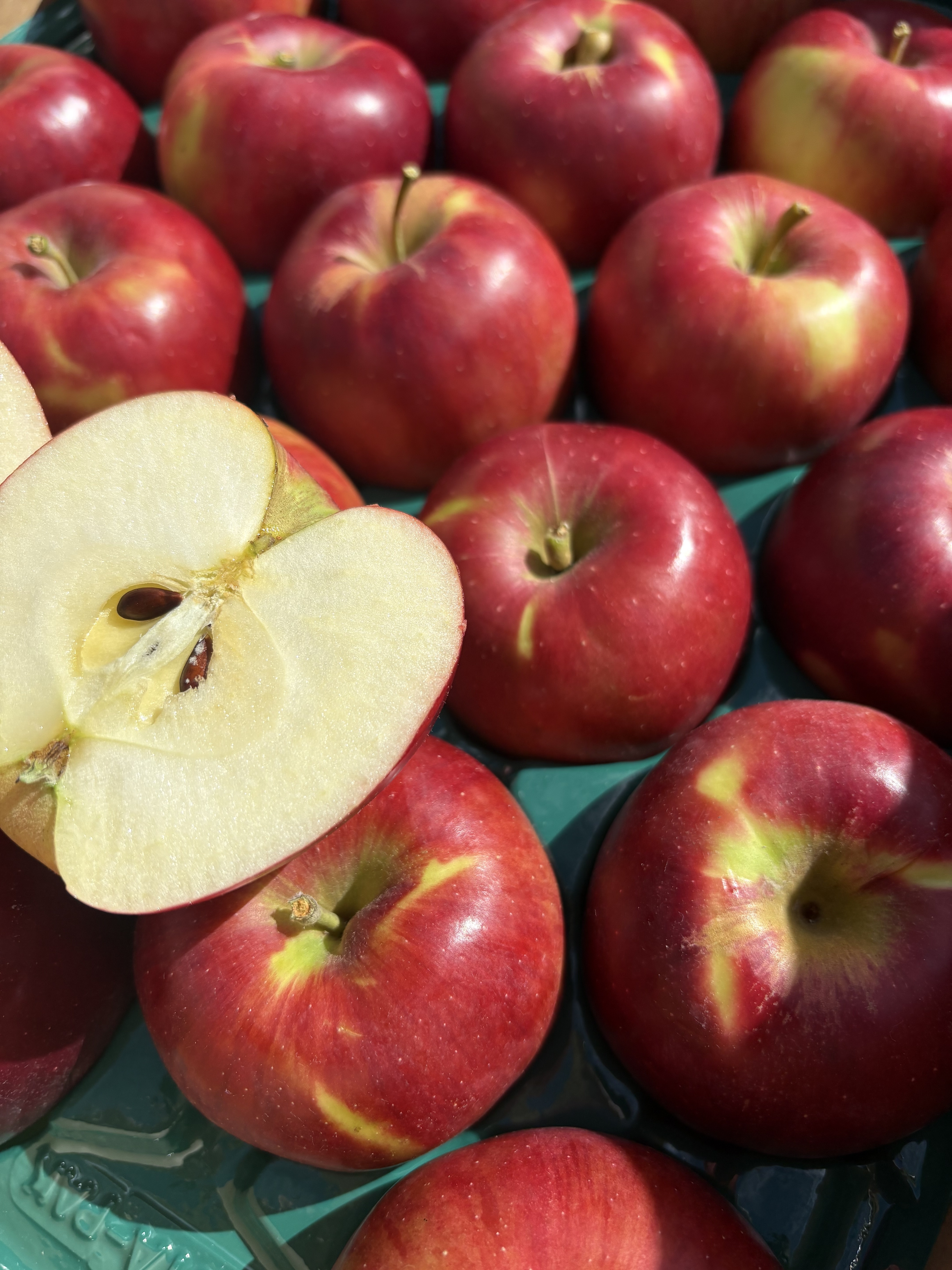 りんご りんごジュース グラニースミス 180ml 【12本入】