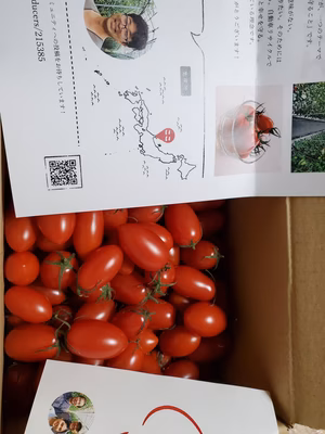 みんなの投稿の画像