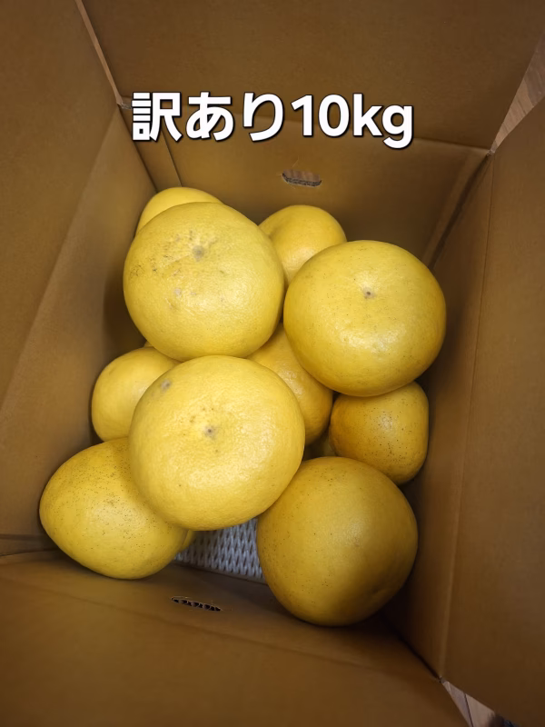 ※訳あり大玉　土佐文旦10キロ入１箱