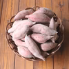 完熟！本気de安納芋 3kg 濃厚でクリーミー　最高級の甘さ　農薬不使用　無肥料