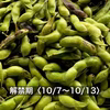 ‘22年〈解禁期〉丹波篠山黒枝豆さや 10/7(金)〜10/13(木)順次発送