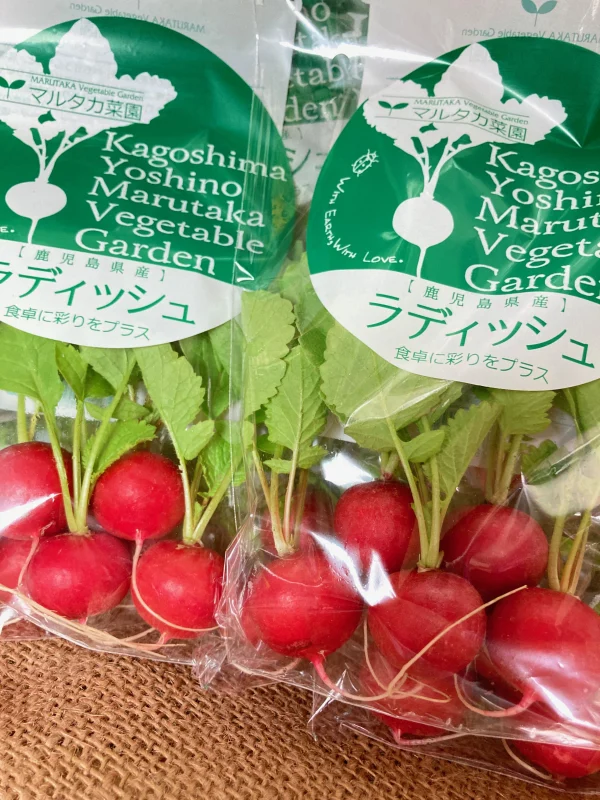 5玉×6袋入り】食卓に彩りを♪ラディッシュMサイズ｜野菜の商品詳細