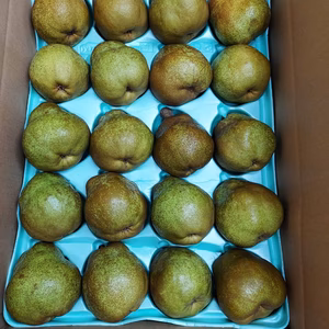 ラ•フランス　中玉5キロ20玉入　西洋梨