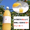 信州産りんごジュース