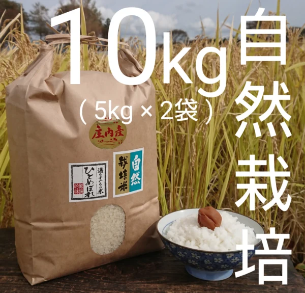 お米の旨味たっぷり自然栽培 元年産「ひとめぼれ玄米」10kg