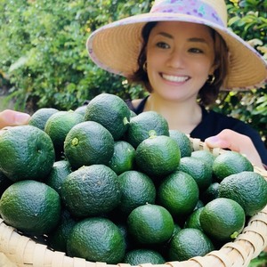 【爽やかな酸っぱさ！】うるマルシェ生産者協議会の琉球柑橘セット