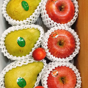 サンふじ＆エル・ドラド 〜りんごも洋梨も大好きな貴方〜