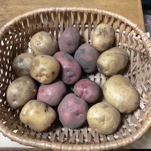自然栽培　新じゃがいも　キタアカリ、アンデスレッド、トヨシロ食べ比べセット