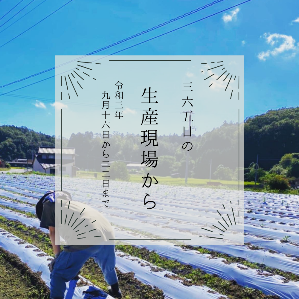 収穫の秋だけど冬準備もしなきゃﾈ😸旬モリモリの40投稿をお届けするよー【9月16〜22日の生産現場から】 | 農家漁師から産地直送の通販