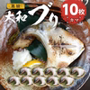 大和ブリのカマ 10枚セット【大和海商】