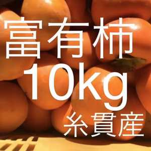 タイムセール‼️富有柿10kg詰め合わせ⭐️岐阜県糸貫産