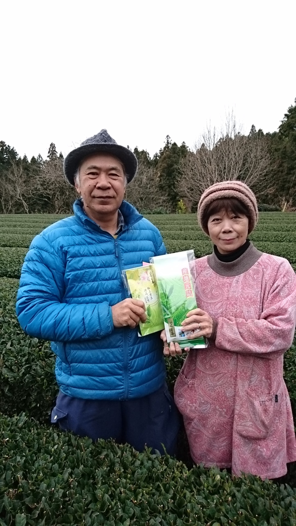 もっ茶んのお茶 白井茶園の通販 白井いくみさん 農家漁師から産地直送の通販 ポケットマルシェ