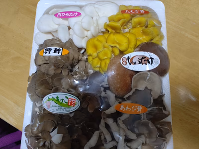 みんなの投稿の画像