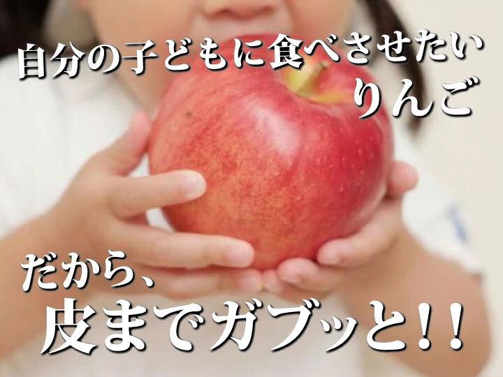 【一度は食べて頂きたい！】和梨みたいな青森県産りんご「樹上完熟葉とらず星の金貨」