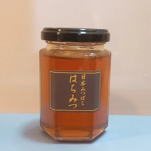 大阪産　キウイ畑の日本蜜蜂のハチミツ