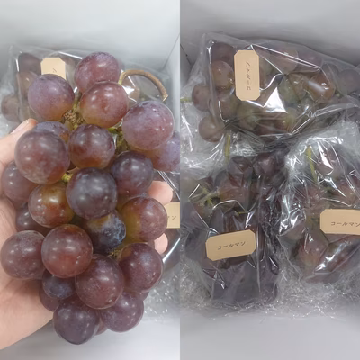 みんなの投稿の画像