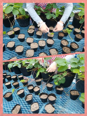 みんなの投稿の画像