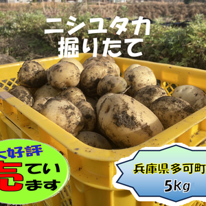 じゃがいもの商品一覧(33ページ目)｜ポケットマルシェ｜産直(産地直送