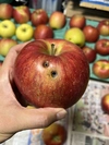 【品種おまかせ】訳あり りんご 箱満タンで発送します❗️信州りんご 