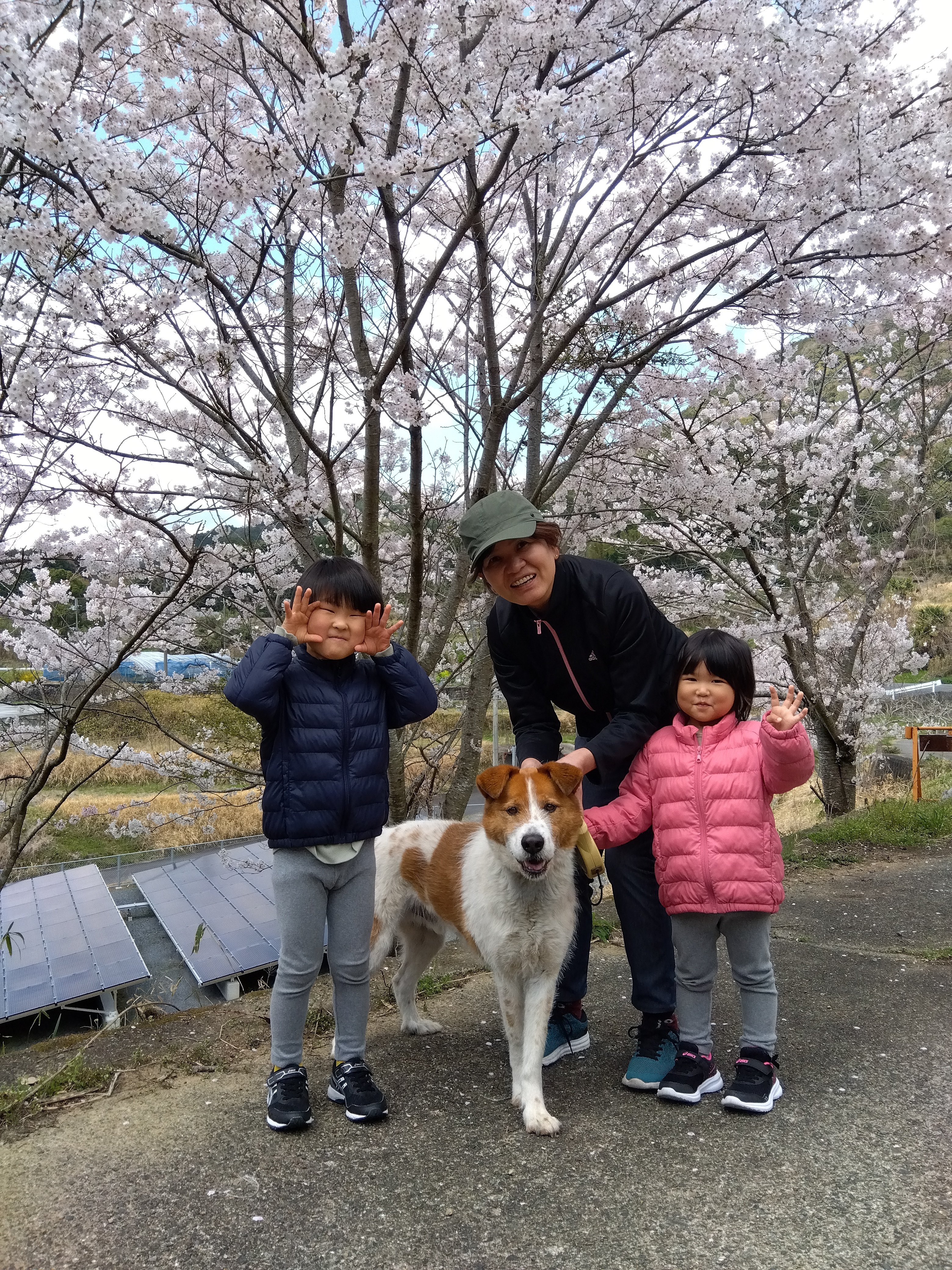 和歌山県橋本市｜モ-チャン農園｜脇ノ谷典子さんの生産者