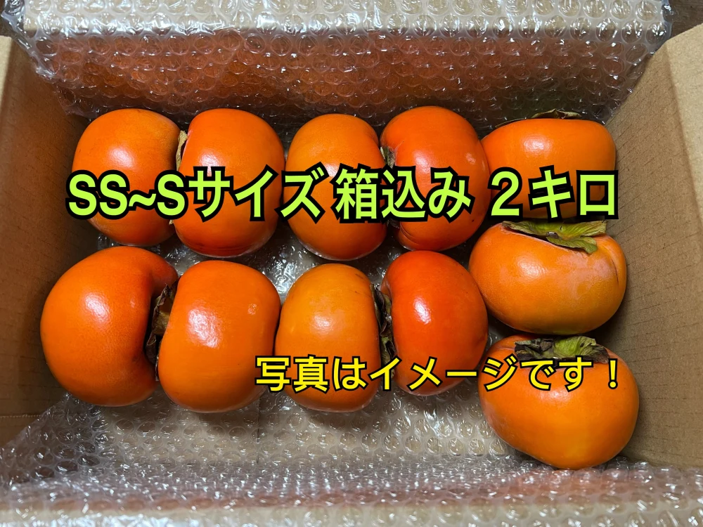 ✨✨ 明日発送！ ✨✨  　＊訳あり＊　送料無料