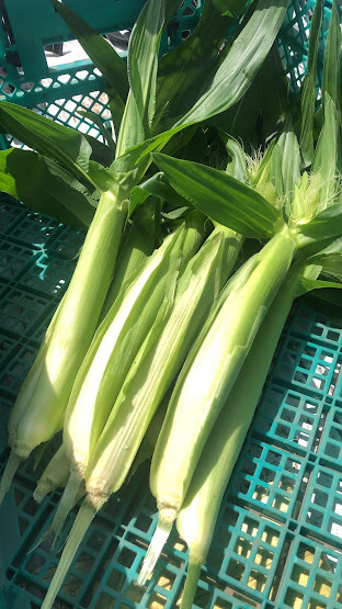 野菜の産直通販・お取り寄せ商品｜ポケットマルシェ｜産地直送で旬の