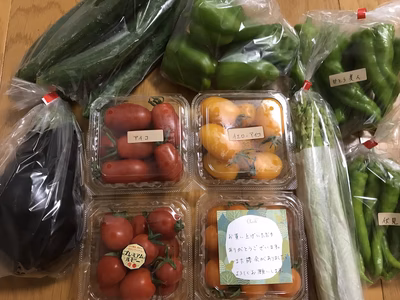 みんなの投稿の画像