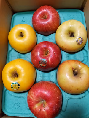 みんなの投稿の画像