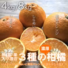 甘さ比べる、3種の柑橘セット【農薬不使用】
