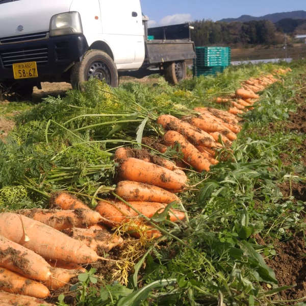 harasawaFARM　ハラサワファーム
