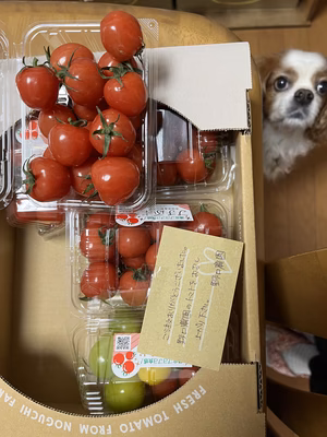 みんなの投稿の画像