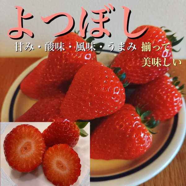 予約販売開始！「よつぼし」いちご。200ｇ×4パック