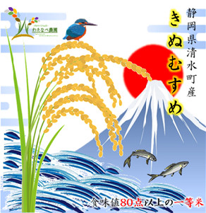 もちもち食感が好きな方へ 令和2年きぬむすめ 食味値80点以上 農家漁師から産地直送の通販 ポケットマルシェ