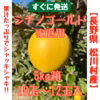 数量限定‼︎早い者勝ち‼︎【長野県松川村産】シナノゴールド 家庭用 訳あり