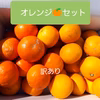 オレンジセット２種(家庭用、訳あり品)清見とセミノール合計４㌔＋八朔１個