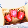 【無農薬】美肌作りに役立つビタミンCたっぷりのジャンボパプリカ！