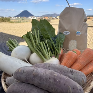 有機野菜セット&新米4kg