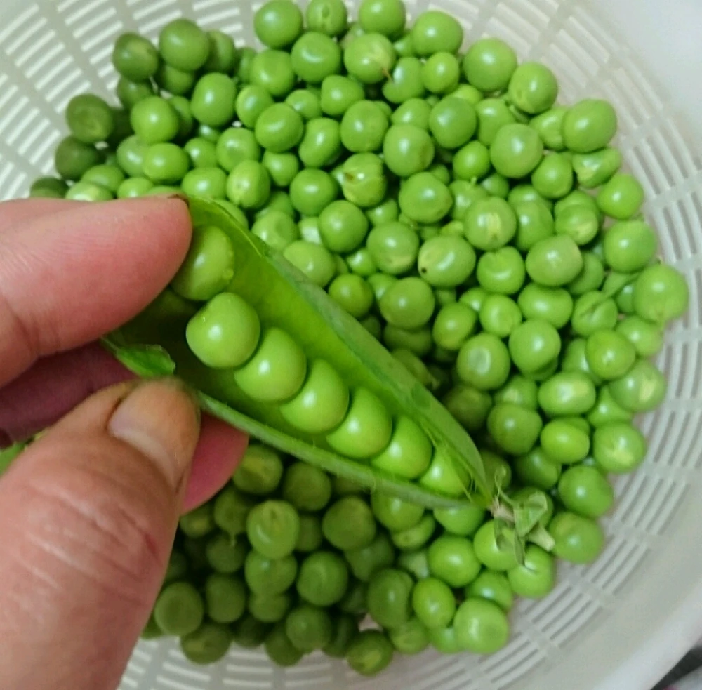 莢付き実えんどう800g