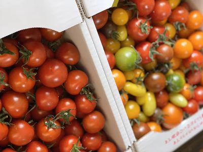 みんなの投稿の画像