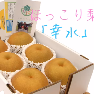 【30名限定】家族の笑顔が見れる♪甘くてさっぱりな幸水梨♪　安心の福岡県産