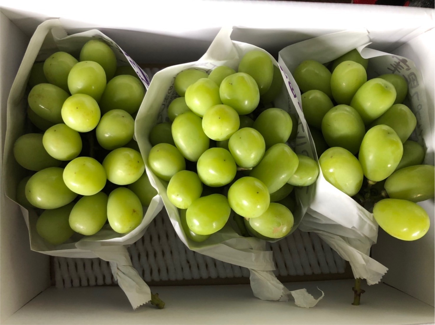 山梨県産シャインマスカット 7房入り箱込み約4.7kg 【公式通販】