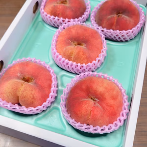 あっと！おどろくビッグサイズ『大紅蟠桃』(数量限定)