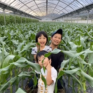 南国‼️甘うま⁉️冬モロコシ‼️