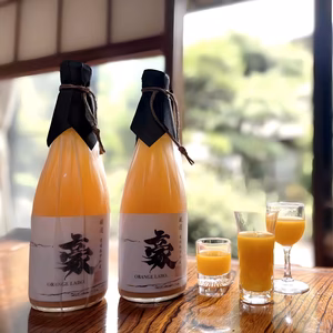 【訳あり大特価】豪　みかん100％ジュース　　720ml　2本入り