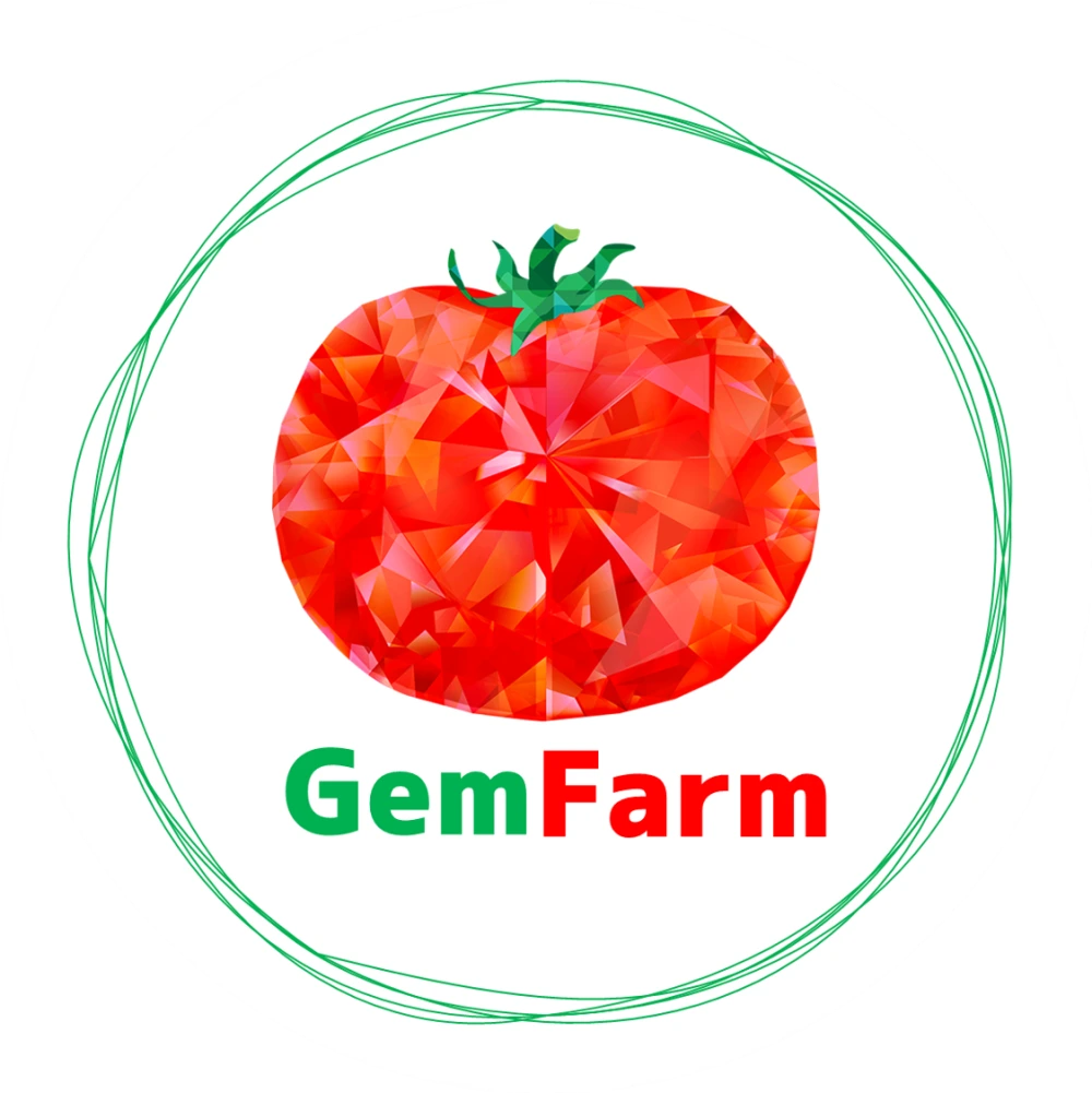 トマトジェラート　GemTomato　6個入り